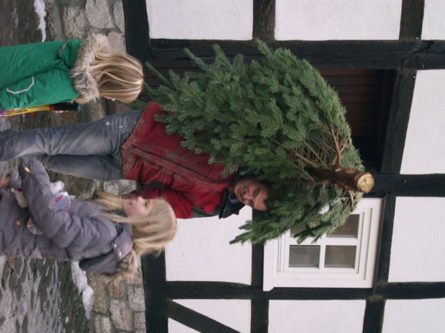 Weihnachtsbaumverkauf 2012